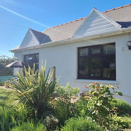 Bed and Breakfast Y Cuddfan Gower Swansea Exterior foto